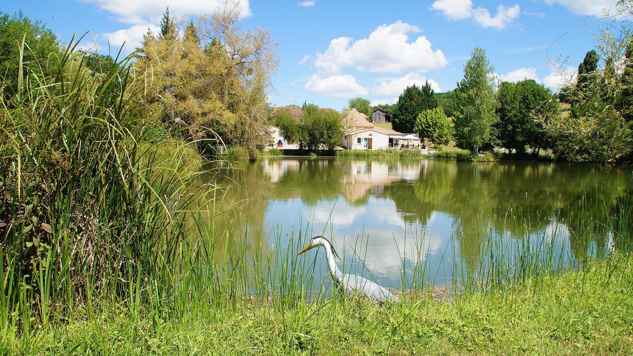 Le Domaine De L'Etang De Sandanet Issac Экстерьер фото