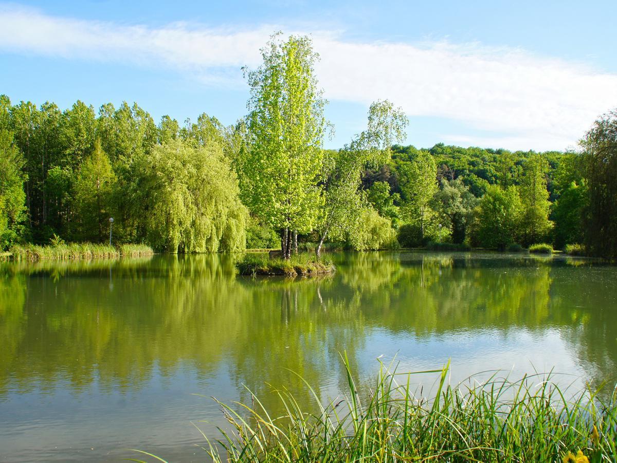 Le Domaine De L'Etang De Sandanet Issac Экстерьер фото